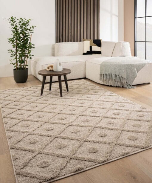 Alfombra de estilo escandinavo - Arc Diamond Beige